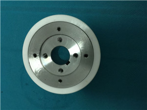 Ceramic feeder roller with gear