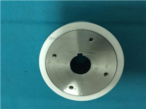 Ceramic feeder roller with gear